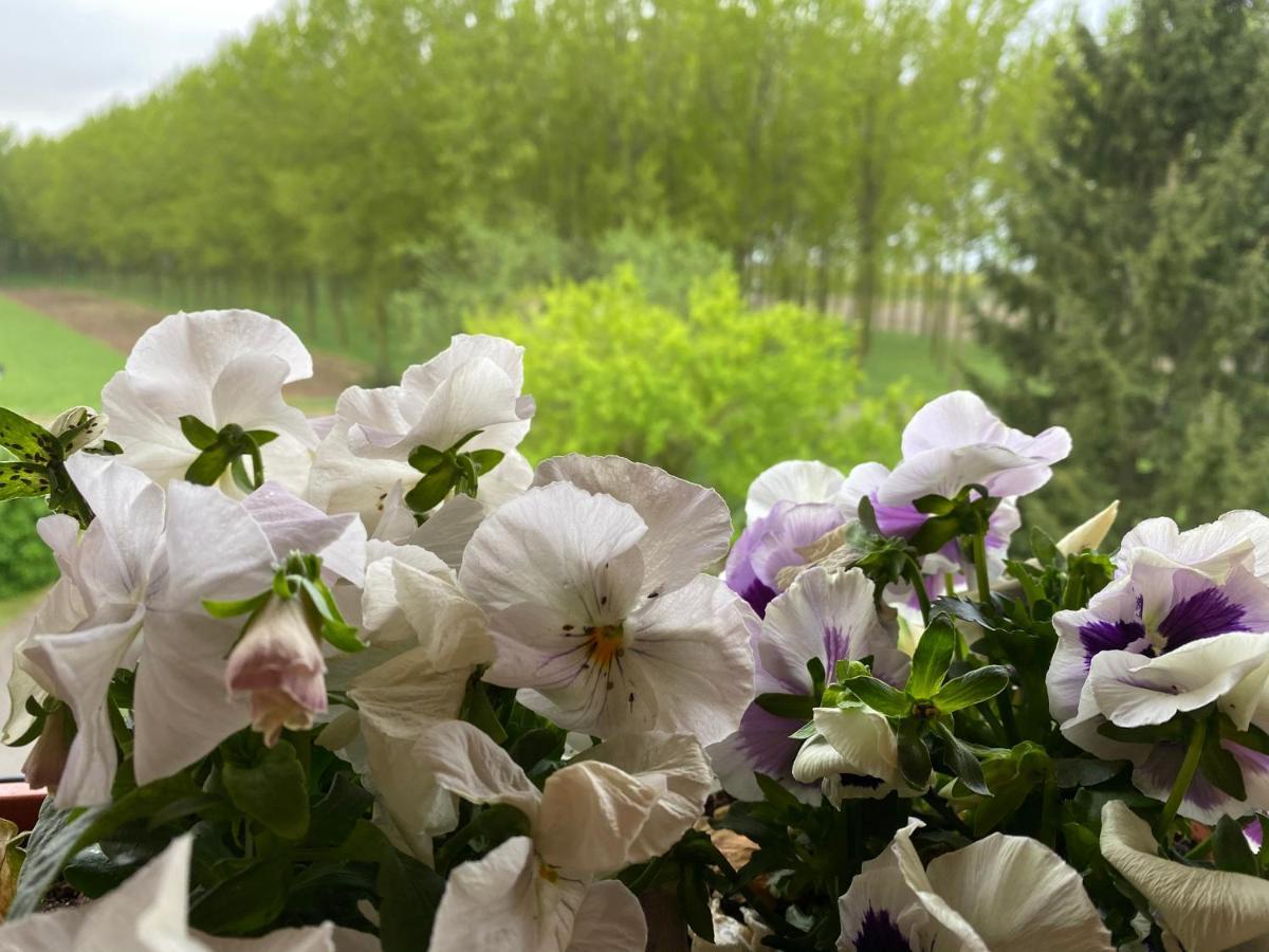 ברשלו B&B Happiness In The Country מראה חיצוני תמונה