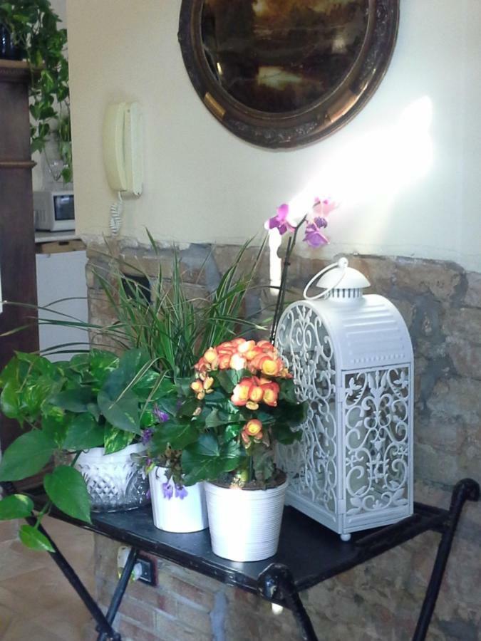 ברשלו B&B Happiness In The Country מראה חיצוני תמונה